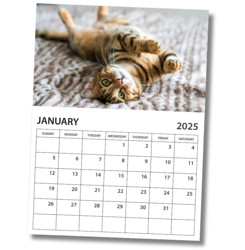 2025 Calendar
