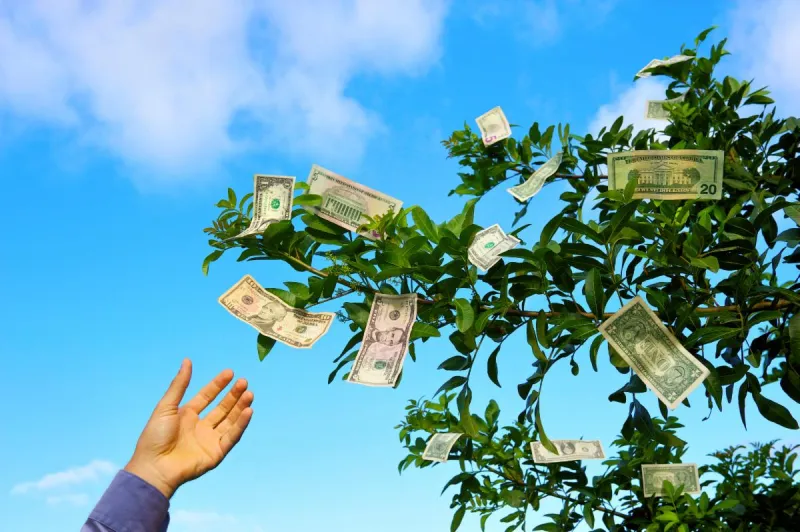 hand grabbing money off a tree