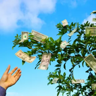 hand grabbing money off a tree